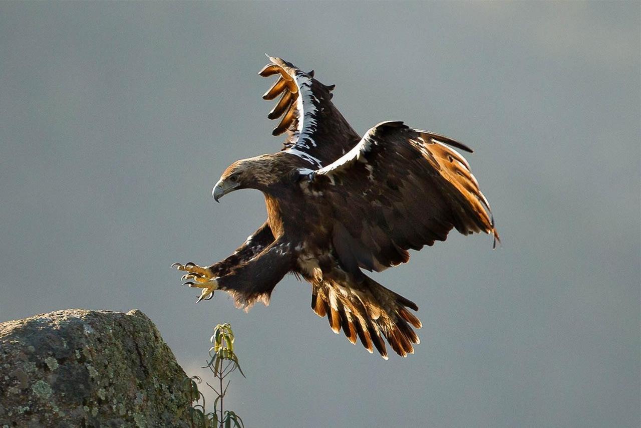 Alojamiento Rural Dehesa La Estancia Andújar Dış mekan fotoğraf