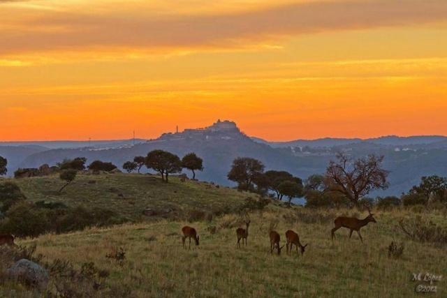 Alojamiento Rural Dehesa La Estancia Andújar Dış mekan fotoğraf