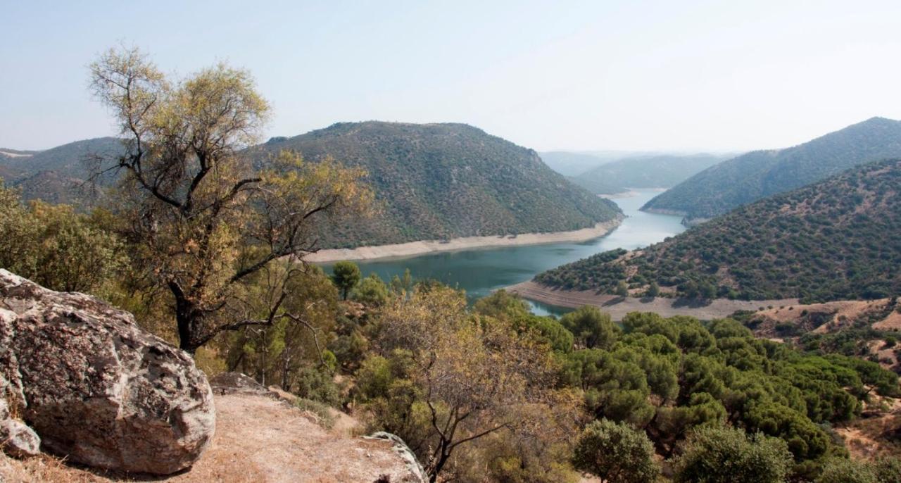 Alojamiento Rural Dehesa La Estancia Andújar Dış mekan fotoğraf